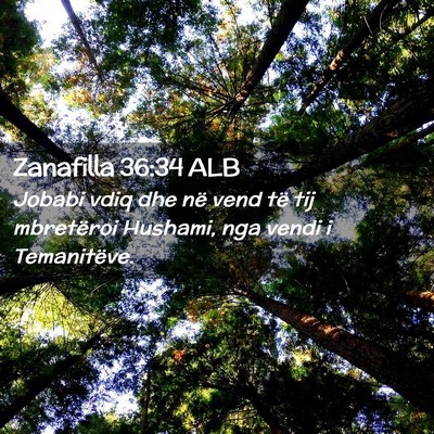 Picture 02 - Zanafilla 36:34 ALB - Jobabi vdiq dhe në vend të tij mbretëroi - Bible Verse Picture