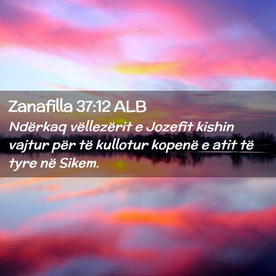 Picture 02 - Zanafilla 37:12 ALB - Ndërkaq vëllezërit e Jozefit kishin vajtur - Bible Verse Picture