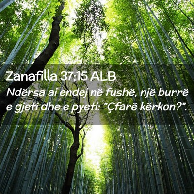 Picture 02 - Zanafilla 37:15 ALB - Ndërsa ai endej në fushë, një burrë e gjeti - Bible Verse Picture