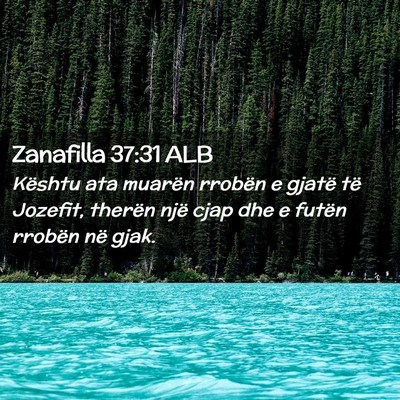 Picture 02 - Zanafilla 37:31 ALB - Kështu ata muarën rrobën e gjatë të Jozefit, - Bible Verse Picture