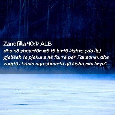 Picture 02 - Zanafilla 40:17 ALB - dhe në shportën më të lartë kishte çdo lloj - Bible Verse Picture