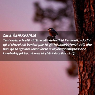 Picture 02 - Zanafilla 40:20 ALB - Tani ditën e tretë, ditën e përvjetorit të - Bible Verse Picture