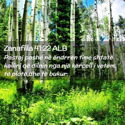 Picture 02 - Zanafilla 41:22 ALB - Pastaj pashë në ëndrrën time shtatë kallinj - Bible Verse Picture
