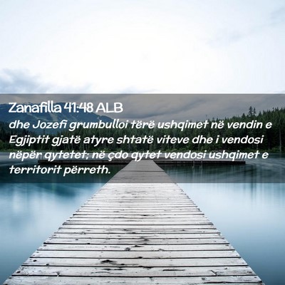 Picture 02 - Zanafilla 41:48 ALB - dhe Jozefi grumbulloi tërë ushqimet në vendin - Bible Verse Picture