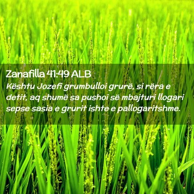Picture 02 - Zanafilla 41:49 ALB - Kështu Jozefi grumbulloi grurë, si rëra e - Bible Verse Picture