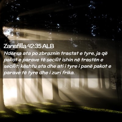 Picture 02 - Zanafilla 42:35 ALB - Ndërsa ata po zbraznin trastat e tyre, ja që - Bible Verse Picture