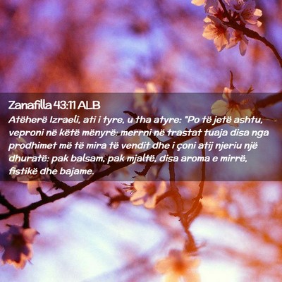 Picture 02 - Zanafilla 43:11 ALB - Atëherë Izraeli, ati i tyre, u tha atyre: 