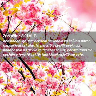Picture 02 - Zanafilla 43:21 ALB - dhe ndodhi që, kur arritëm në vendin ku kaluam - Bible Verse Picture