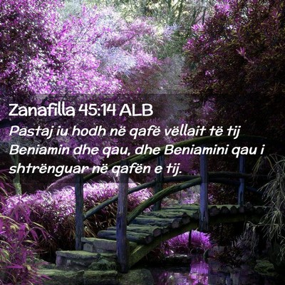 Picture 02 - Zanafilla 45:14 ALB - Pastaj iu hodh në qafë vëllait të tij - Bible Verse Picture