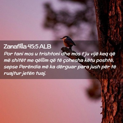 Picture 02 - Zanafilla 45:5 ALB - Por tani mos u trishtoni dhe mos t’ju vijë keq - Bible Verse Picture