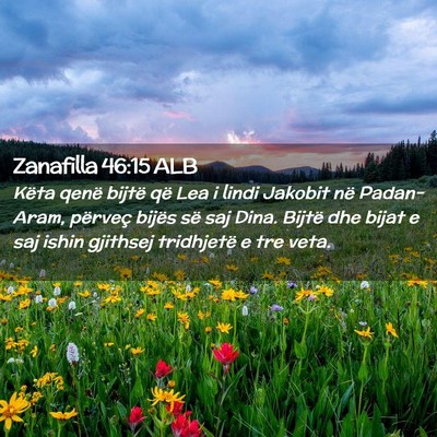 Picture 02 - Zanafilla 46:15 ALB - Këta qenë bijtë që Lea i lindi Jakobit në - Bible Verse Picture