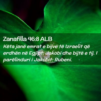 Picture 02 - Zanafilla 46:8 ALB - Këta janë emrat e bijve të Izraelit që - Bible Verse Picture