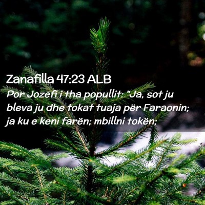 Picture 02 - Zanafilla 47:23 ALB - Por Jozefi i tha popullit: 