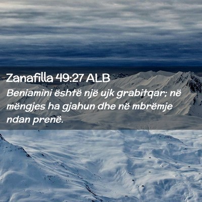 Picture 02 - Zanafilla 49:27 ALB - Beniamini është një ujk grabitqar; në - Bible Verse Picture