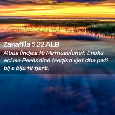 Picture 02 - Zanafilla 5:22 ALB - Mbas lindjes të Methuselahut, Enoku eci me - Bible Verse Picture