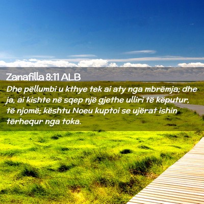 Picture 02 - Zanafilla 8:11 ALB - Dhe pëllumbi u kthye tek ai aty nga mbrëmja; - Bible Verse Picture