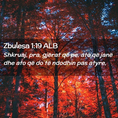 Picture 02 - Zbulesa 1:19 ALB - Shkruaj, pra, gjërat që pe, ato që janë dhe - Bible Verse Picture