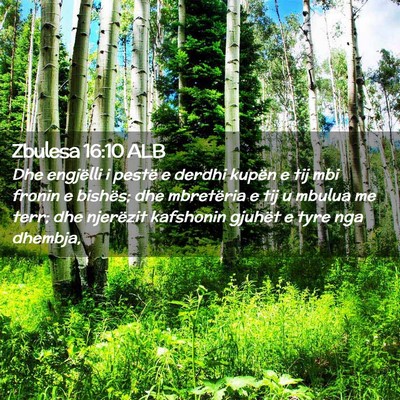 Picture 02 - Zbulesa 16:10 ALB - Dhe engjëlli i pestë e derdhi kupën e tij mbi - Bible Verse Picture