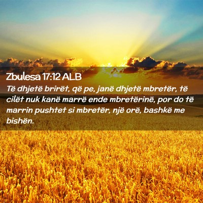 Picture 02 - Zbulesa 17:12 ALB - Të dhjetë brirët, që pe, janë dhjetë - Bible Verse Picture