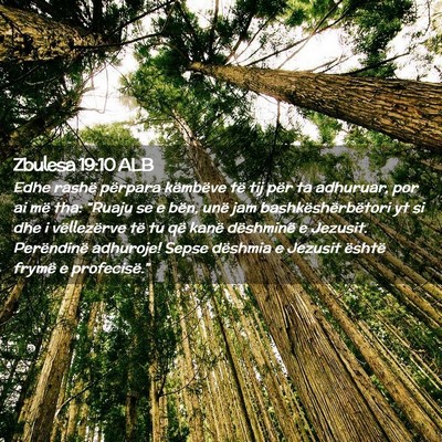 Picture 02 - Zbulesa 19:10 ALB - Edhe rashë përpara këmbëve të tij për ta - Bible Verse Picture