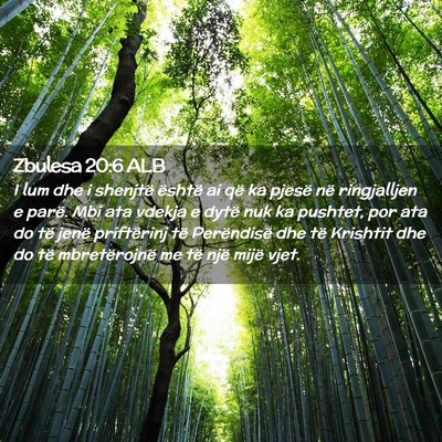 Picture 02 - Zbulesa 20:6 ALB - I lum dhe i shenjtë është ai që ka pjesë në - Bible Verse Picture
