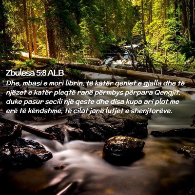 Picture 02 - Zbulesa 5:8 ALB - Dhe, mbasi e mori librin, të katër qeniet e - Bible Verse Picture