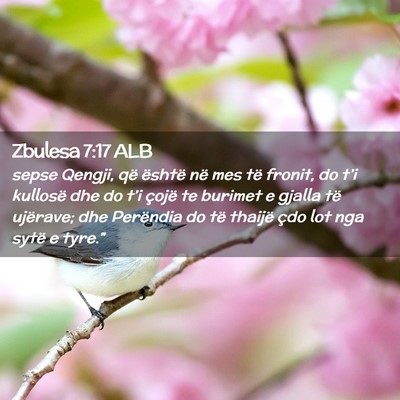Picture 02 - Zbulesa 7:17 ALB - sepse Qengji, që është në mes të fronit, do - Bible Verse Picture