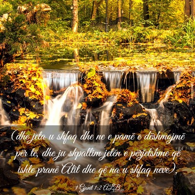 Picture 03 - 1 Gjonit 1:2 ALB - (dhe jeta u shfaq dhe ne e pamë e dëshmojmë - Bible Verse Picture