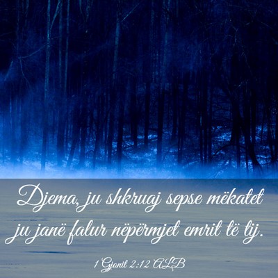 Picture 03 - 1 Gjonit 2:12 ALB - Djema, ju shkruaj sepse mëkatet ju janë falur - Bible Verse Picture