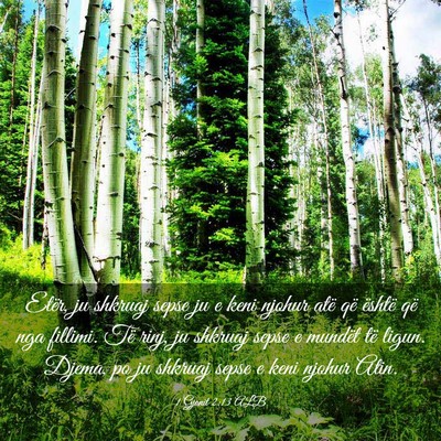 Picture 03 - 1 Gjonit 2:13 ALB - Etër, ju shkruaj sepse ju e keni njohur atë që - Bible Verse Picture