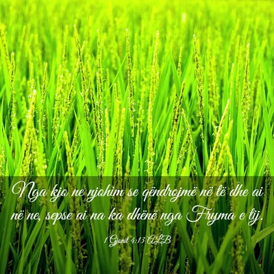 Picture 03 - 1 Gjonit 4:13 ALB - Nga kjo ne njohim se qëndrojmë në të dhe ai - Bible Verse Picture
