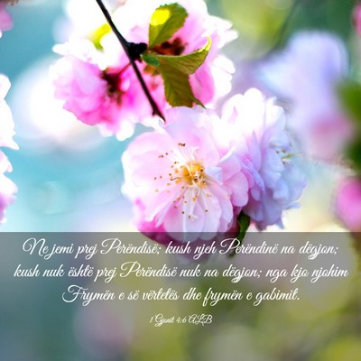 Picture 03 - 1 Gjonit 4:6 ALB - Ne jemi prej Perëndisë; kush njeh Perëndinë - Bible Verse Picture
