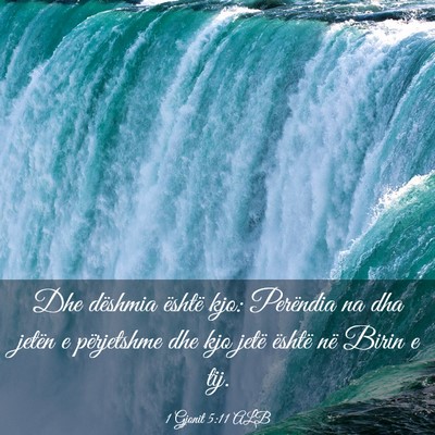 Picture 03 - 1 Gjonit 5:11 ALB - Dhe dëshmia është kjo: Perëndia na dha jetën - Bible Verse Picture