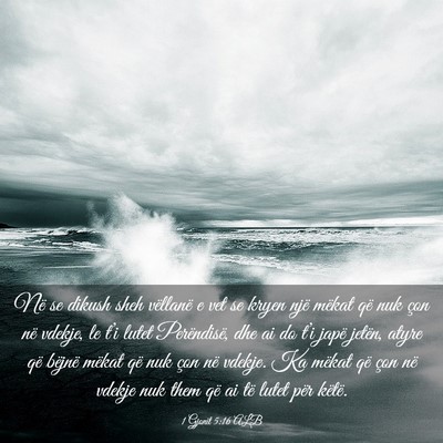 Picture 03 - 1 Gjonit 5:16 ALB - Në se dikush sheh vëllanë e vet se kryen një - Bible Verse Picture