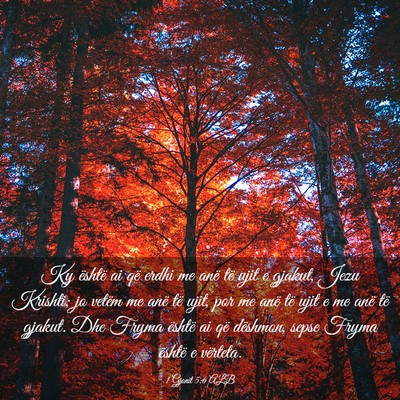 Picture 03 - 1 Gjonit 5:6 ALB - Ky është ai që erdhi me anë të ujit e - Bible Verse Picture