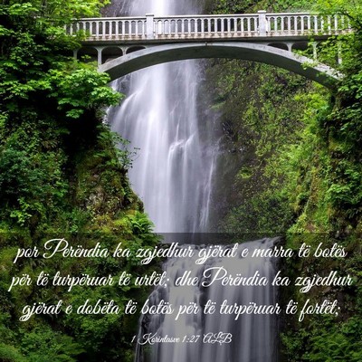 Picture 03 - 1 Korintasve 1:27 ALB - por Perëndia ka zgjedhur gjërat e marra të - Bible Verse Picture