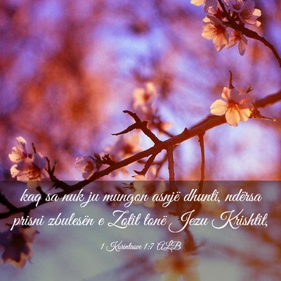 Picture 03 - 1 Korintasve 1:7 ALB - kaq sa nuk ju mungon asnjë dhunti, ndërsa - Bible Verse Picture