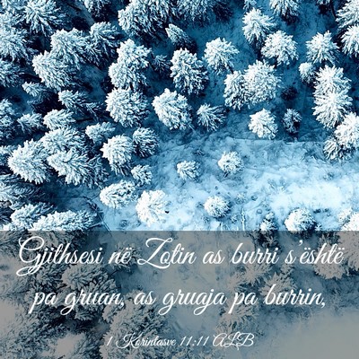 Picture 03 - 1 Korintasve 11:11 ALB - Gjithsesi në Zotin as burri s’është pa - Bible Verse Picture