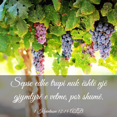 Picture 03 - 1 Korintasve 12:14 ALB - Sepse edhe trupi nuk është një gjymtyrë e - Bible Verse Picture
