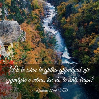 Picture 03 - 1 Korintasve 12:19 ALB - Po të ishin të gjitha gjymtyrët një gjymtyrë - Bible Verse Picture