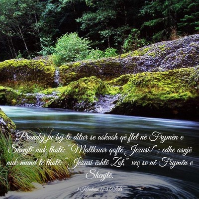Picture 03 - 1 Korintasve 12:3 ALB - Prandaj ju bëj të ditur se askush që flet në - Bible Verse Picture