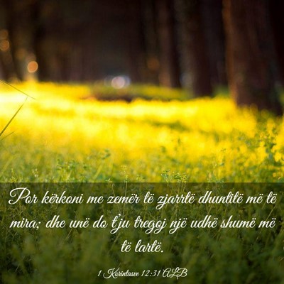 Picture 03 - 1 Korintasve 12:31 ALB - Por kërkoni me zemër të zjarrtë dhuntitë më - Bible Verse Picture