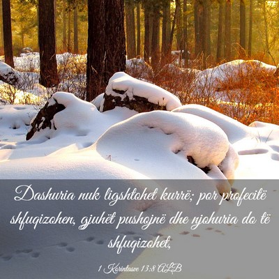 Picture 03 - 1 Korintasve 13:8 ALB - Dashuria nuk ligshtohet kurrë; por profecitë - Bible Verse Picture