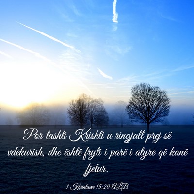 Picture 03 - 1 Korintasve 15:20 ALB - Por tashti Krishti u ringjall prej së vdekurish, - Bible Verse Picture