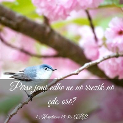 Picture 03 - 1 Korintasve 15:30 ALB - Përse jemi edhe ne në rrezik në çdo - Bible Verse Picture
