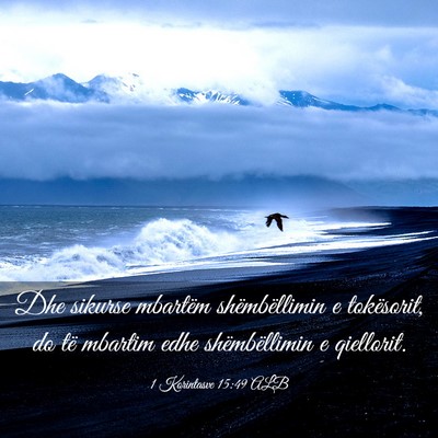 Picture 03 - 1 Korintasve 15:49 ALB - Dhe sikurse mbartëm shëmbëllimin e tokësorit, - Bible Verse Picture