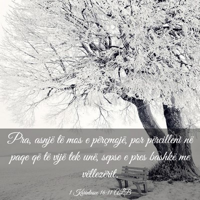 Picture 03 - 1 Korintasve 16:11 ALB - Pra, asnjë të mos e përçmojë, por - Bible Verse Picture