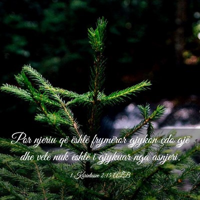 Picture 03 - 1 Korintasve 2:15 ALB - Por njeriu që është frymëror gjykon çdo gjë - Bible Verse Picture