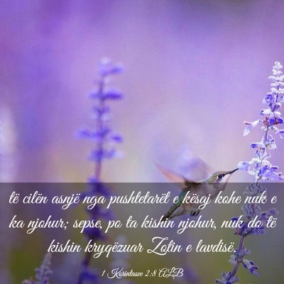 Picture 03 - 1 Korintasve 2:8 ALB - të cilën asnjë nga pushtetarët e kësaj kohe - Bible Verse Picture