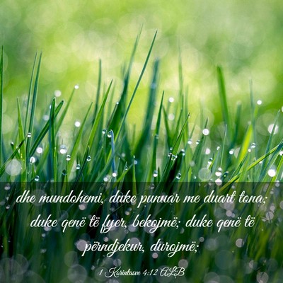 Picture 03 - 1 Korintasve 4:12 ALB - dhe mundohemi, duke punuar me duart tona; duke - Bible Verse Picture